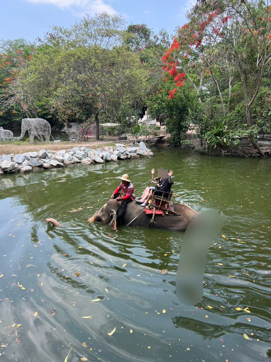 タイでゾウに乗る
