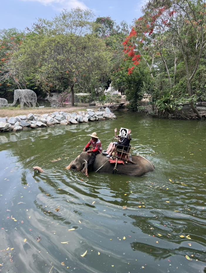 タイで妻とゾウに乗っているときの一枚