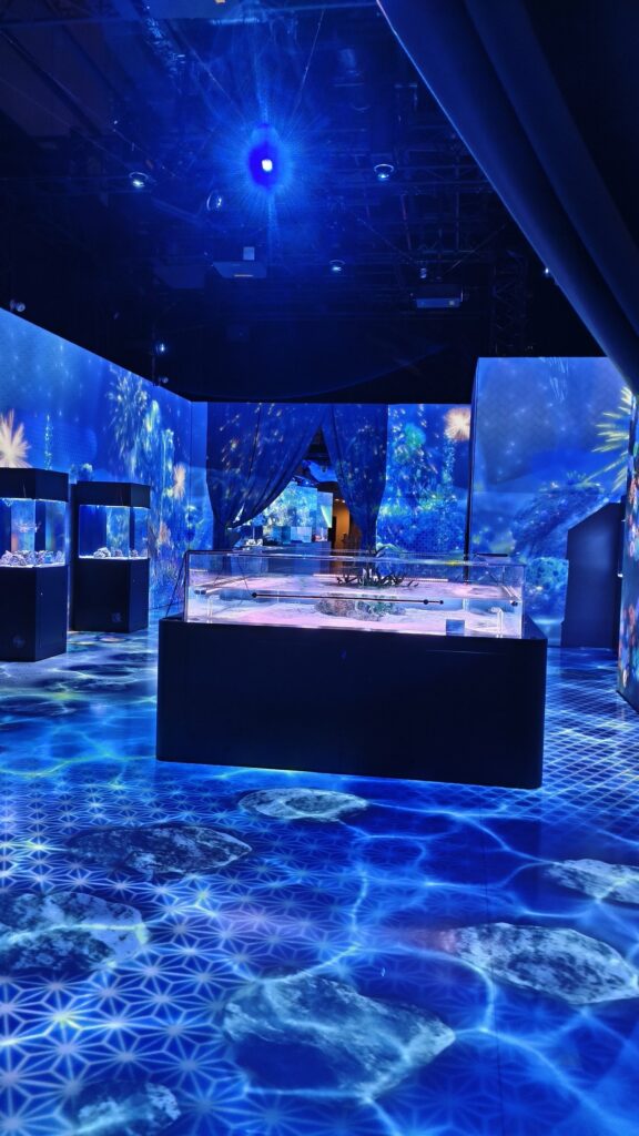 プロポーズのために貸し切った水族館の館内
