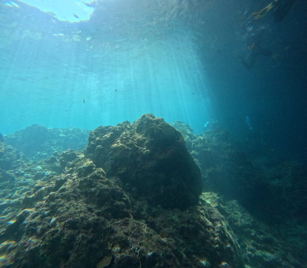 沖縄のダイビングで見た水中のサンゴ礁