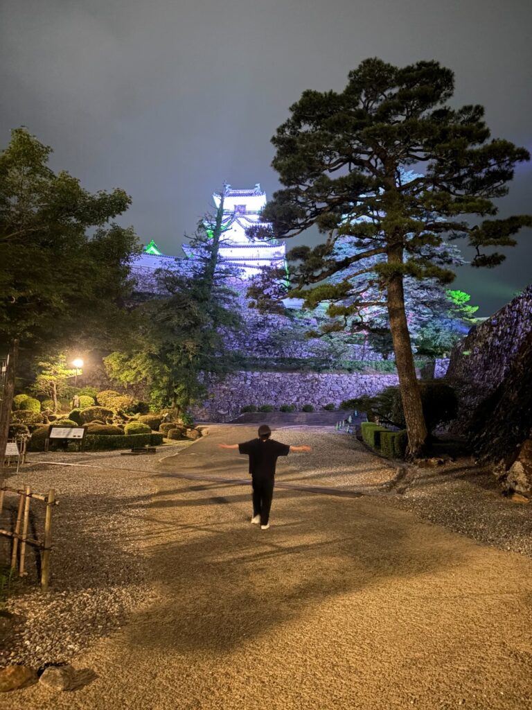ライトアップされた夜の大洲城